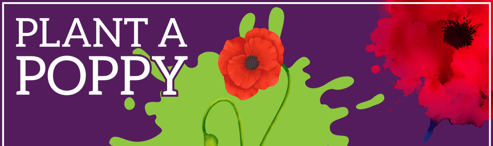 VE Day Poppy Planting