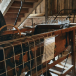 Potato sorter, Yorkshire Museum of Farming