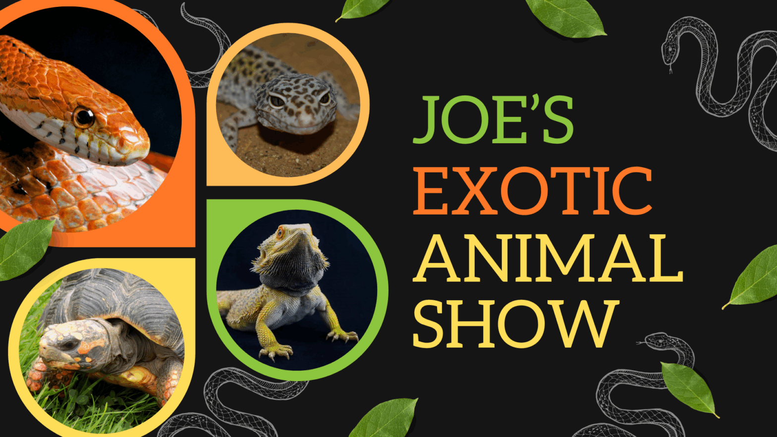 Joe's Exotic Animal Show