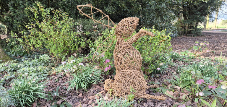 Willow Bunny Workshop
